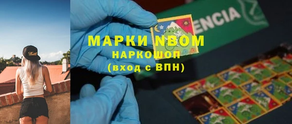 стаф Аркадак