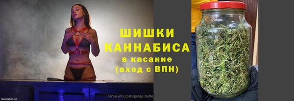 соль ск Арсеньев