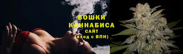 стаф Аркадак