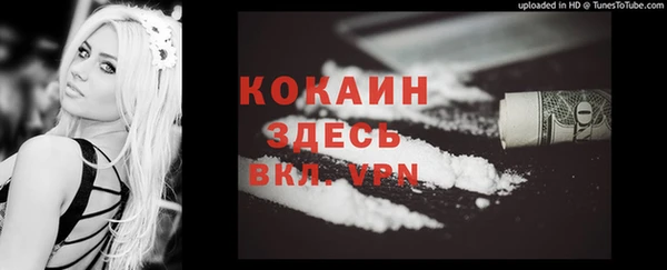стаф Аркадак