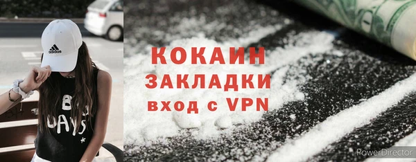 стаф Аркадак