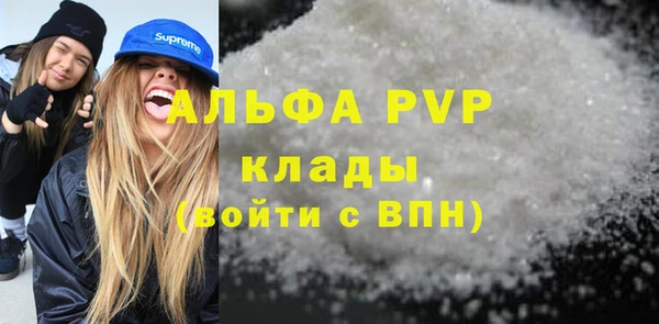 стаф Аркадак