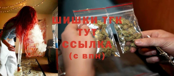 стаф Аркадак
