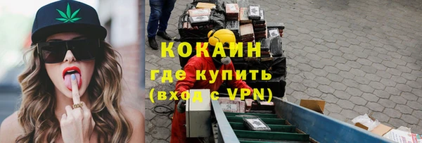 соль ск Арсеньев