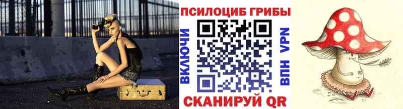 omg зеркало  Славск  Псилоцибиновые грибы ЛСД  наркошоп 